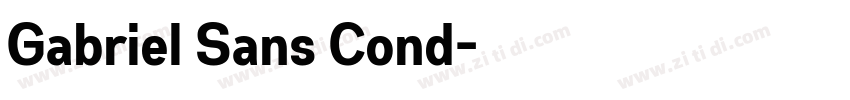 Gabriel Sans Cond字体转换 Gabriel Sans Cond字体转换